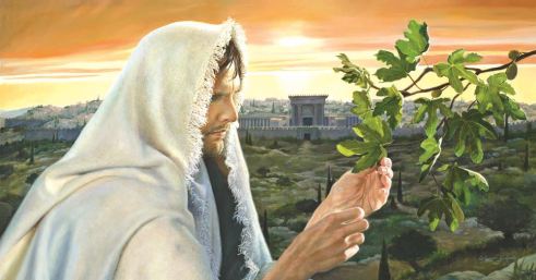 learn this parable from the fig tree