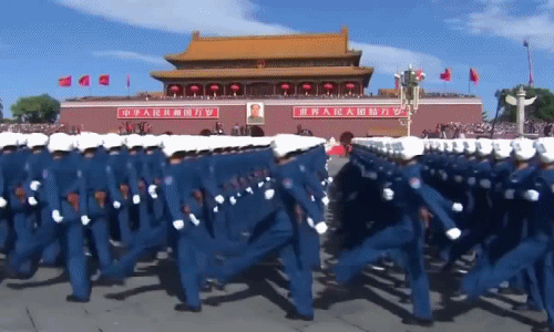 chinese army ani