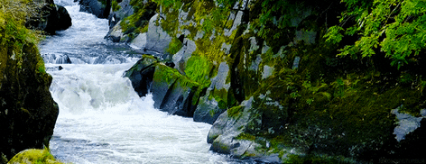 flowing stream ani