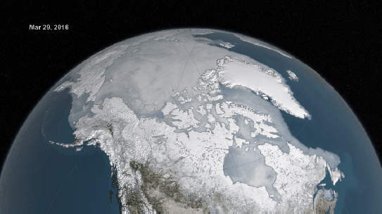 Arctic becomes ice-free ani
