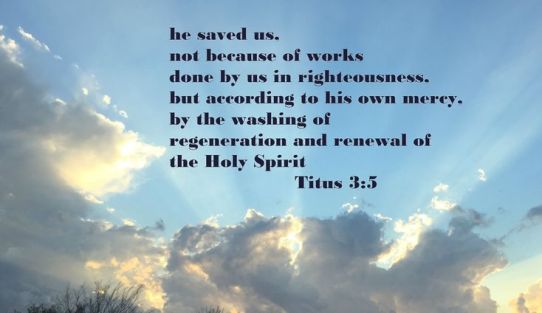 according to His mercy He saved us
