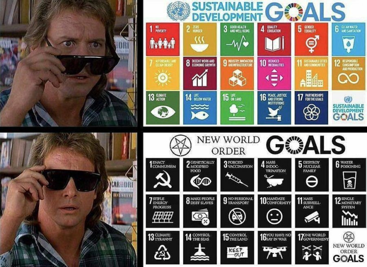 new-world-order-goals