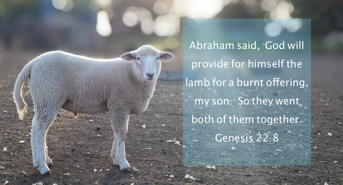 The Promise of a Lamb