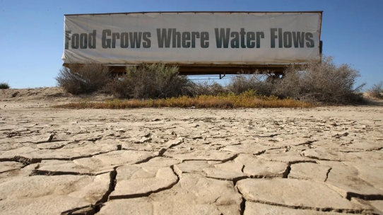 food-grow-where-water-flows