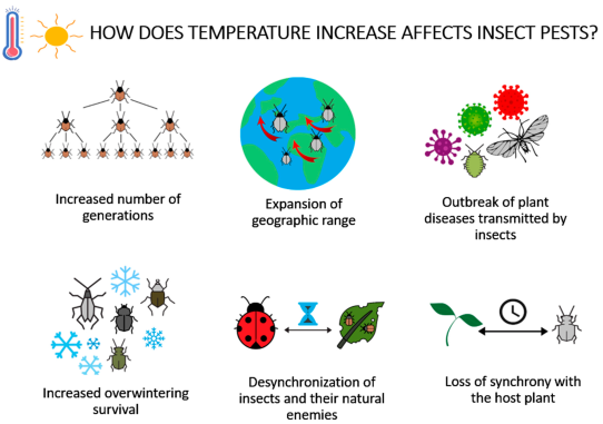 Warmer temperatures are also causing the proliferation of pests and diseases